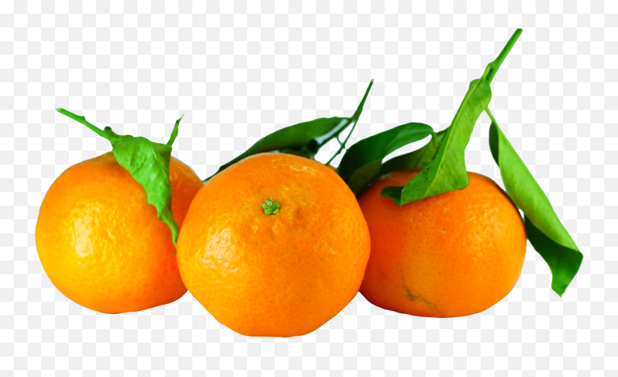 Tangerines Png Image - Purepng Free Transparent Cc0 Png Transparent Tangerine Png,Orange Fruit Png