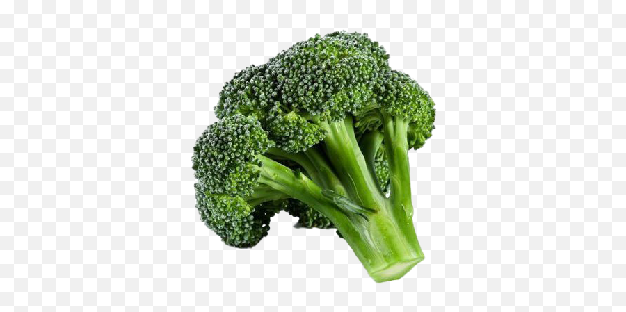 Green Broccoli Png Transparent - Transparent Background Broccoli Png,Broccoli Transparent