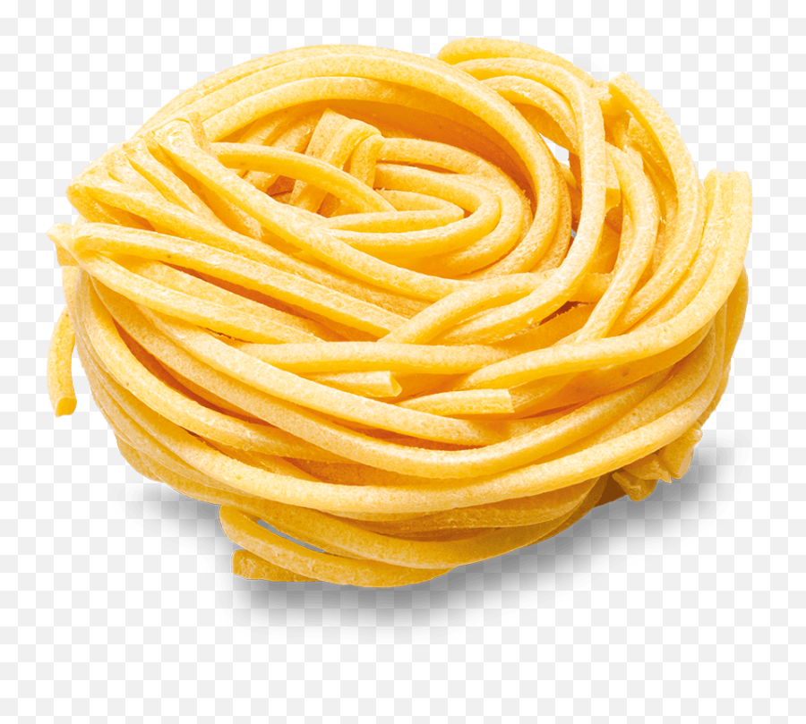 Spaghetti Png - Bucatini Png,Spaghetti Png