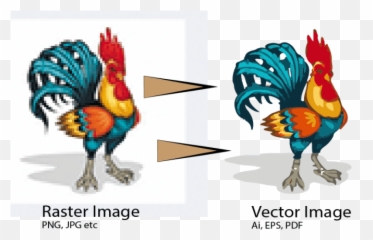 Download Vectorise Or Vector Trace Your - Rooster Vector Png,Vectorise Png