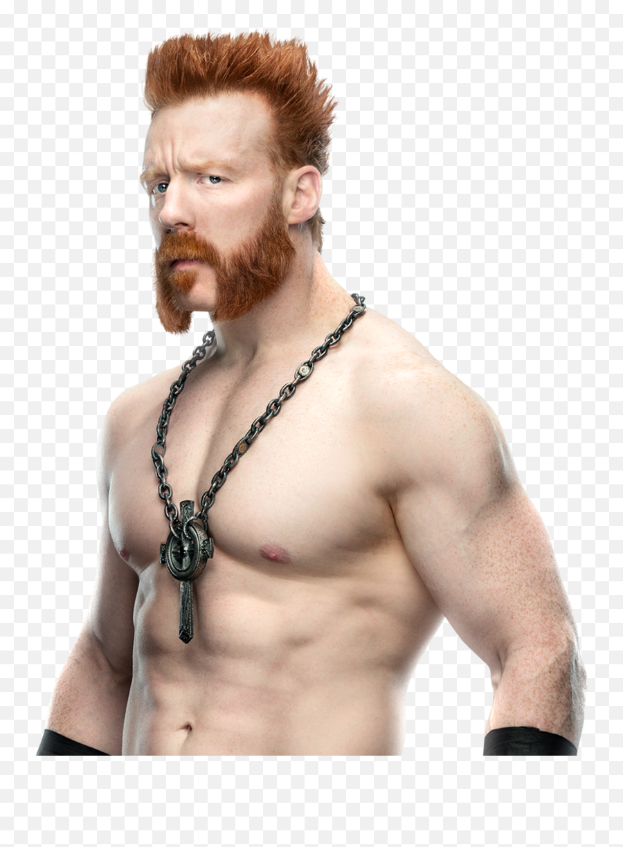 Sheamus - Wwe Sheamus 2020 Render Png,Sheamus Png