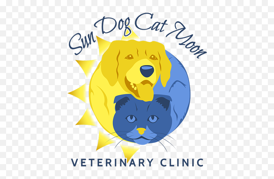 Our Veterinary Team Sun Dog Cat Moon Clinic - Cartoon Png,Dog And Cat Png