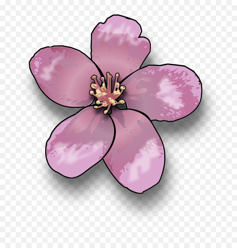 Pinkflowerblossom Png Clipart - Royalty Free Svg Png Apple Blossom Clip Art,Blossom Png