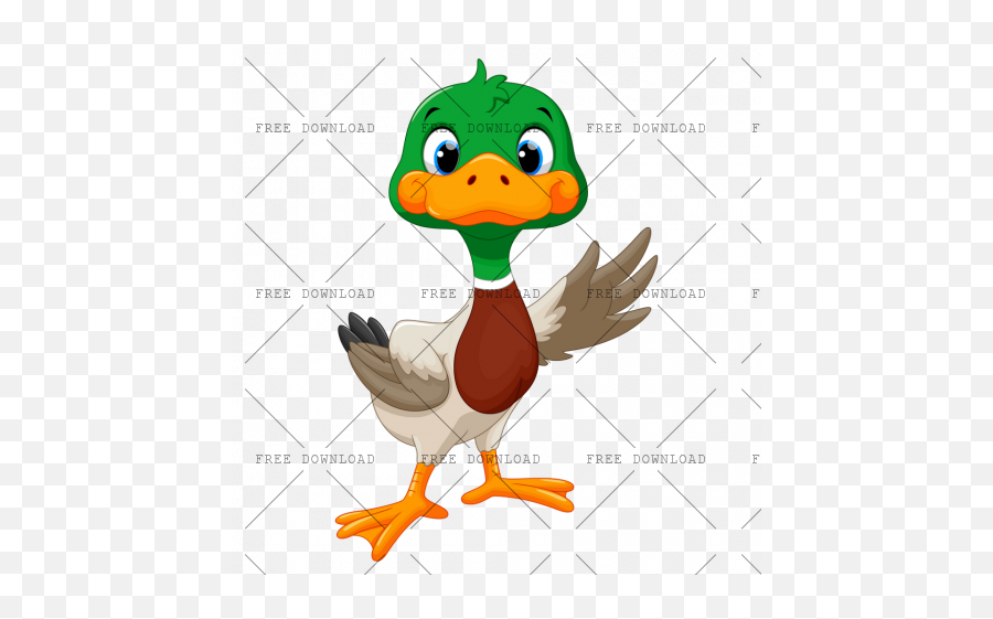 Duck Goose Swan Bird Png Image With Transparent Background