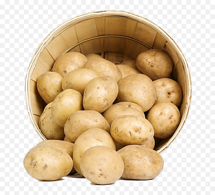 25 Fun Potato Png One Images - Potato Png,Potatoes Png