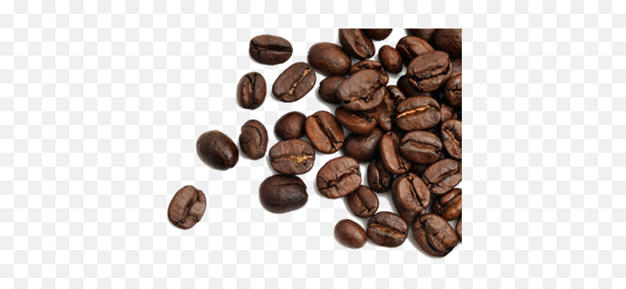 Fullscreen Page Wixtest - Transparent Coffee Bean Png,Coffee Bean Transparent