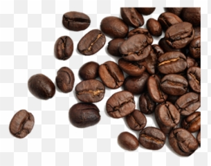 Fullscreen Page Wixtest - Transparent Coffee Bean Png