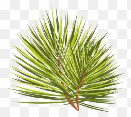 Christmas Tree Branch Sprig - Free vector graphic on Pixabay png