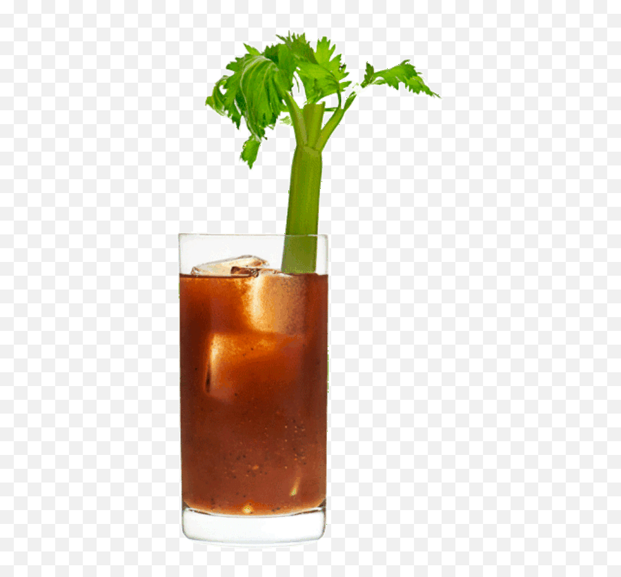 Cocktail With Celery - Cuba Libre Png,Bloody Mary Png