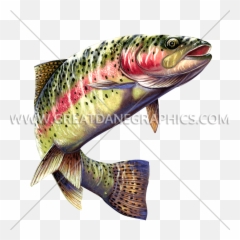 Color Pencil Drawing Of Rainbow Trout - Colors Of Rainbow Trout Png,Trout Png