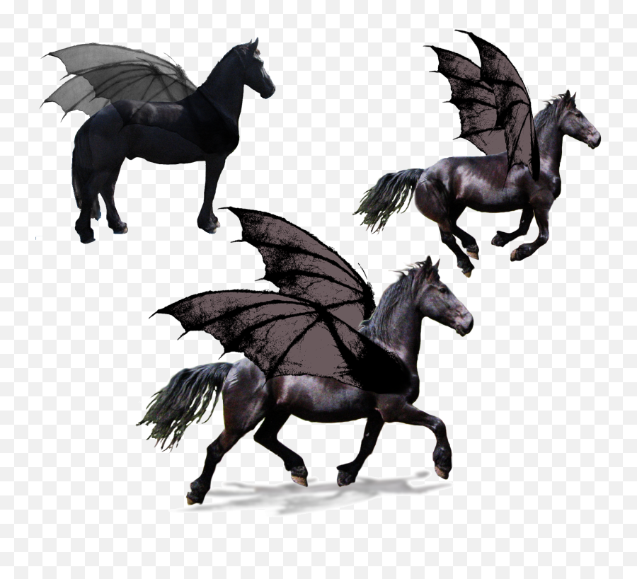 Black Flying Horse Pegasus - Horse Png,Pegasus Png