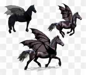 Black Flying Horse Pegasus - Horse Png,Pegasus Png