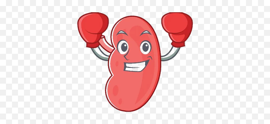 Home - Strong Kidney Png,Kidney Png