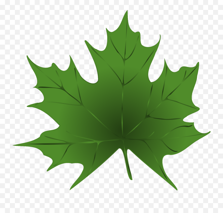 Green Maple Leaf Clip Art - Transparent Background Green Leaf Clipart Png,Maple Png