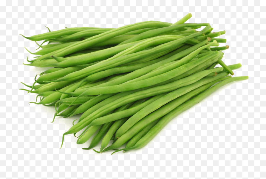 Green Beans Free Png Image Arts - Beans Haricot,Beans Png
