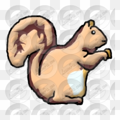 Squirrel Picture For Classroom Therapy Use - Great Squirrel Png,Squirrel Clipart Png