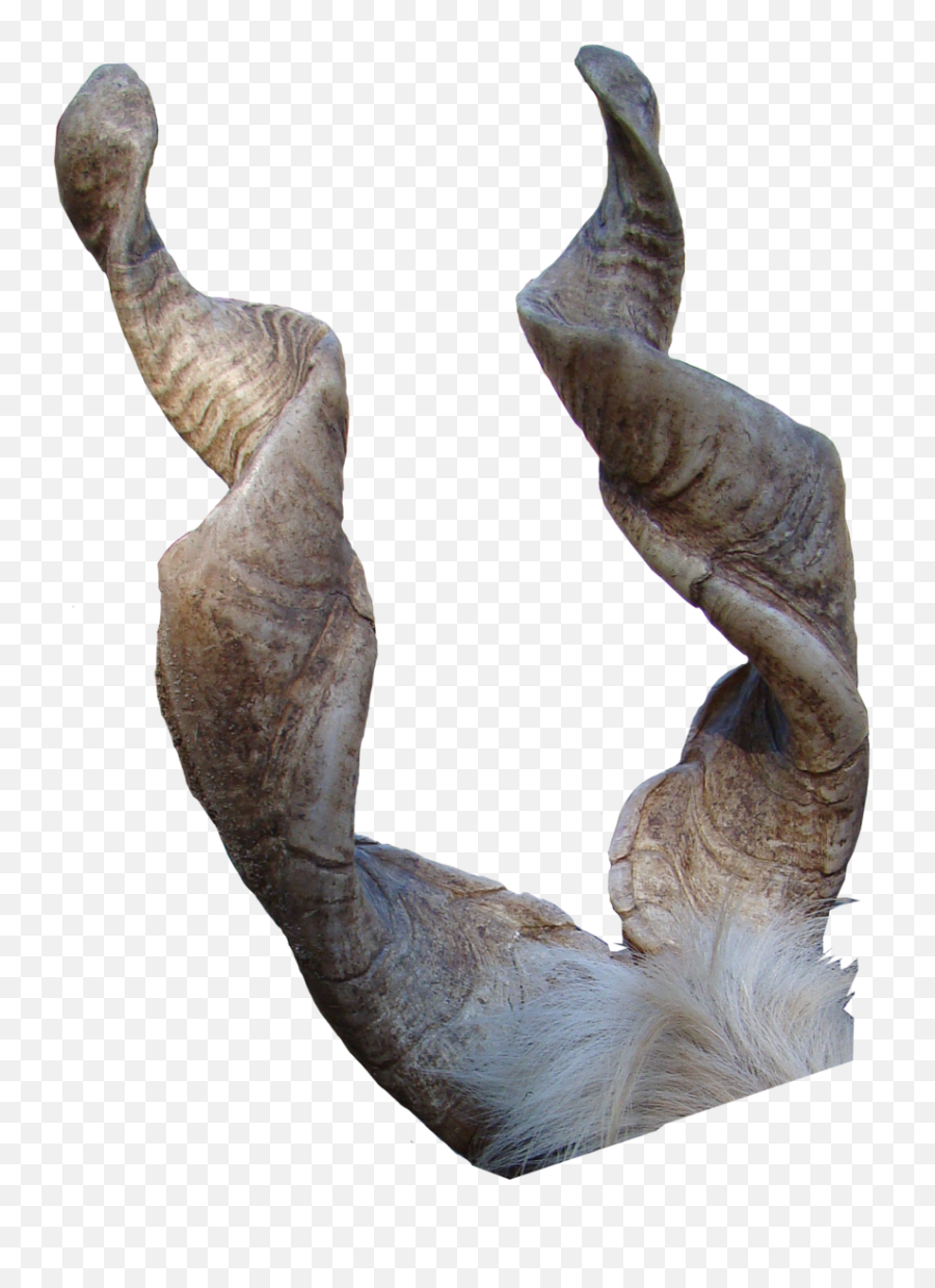Download Goat Horns Png - Goat Horns Png,Goat Horns Png