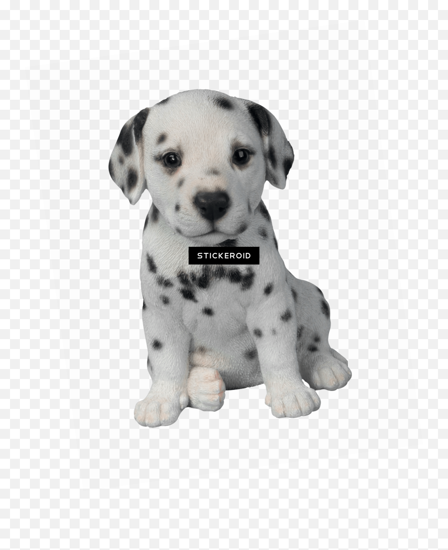 Dalmatian Puppy - Dalmatian Puppy Pet Pal By Vivid Arts Dalmatian Puppy Png,Dalmatian Png