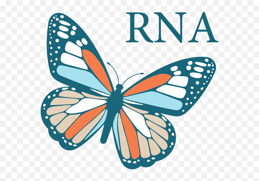 Monarch Nucleic Acid Purification Kits Neb - Girly Png,Monarch Butterfly Icon