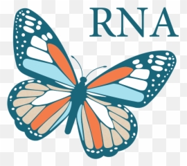Monarch Nucleic Acid Purification Kits Neb - Girly png