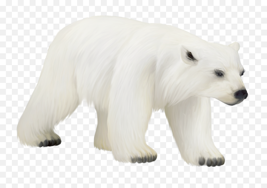 Polar Bear Bird Animal Clip Art - Polar Bear Png,Polar Bear Png