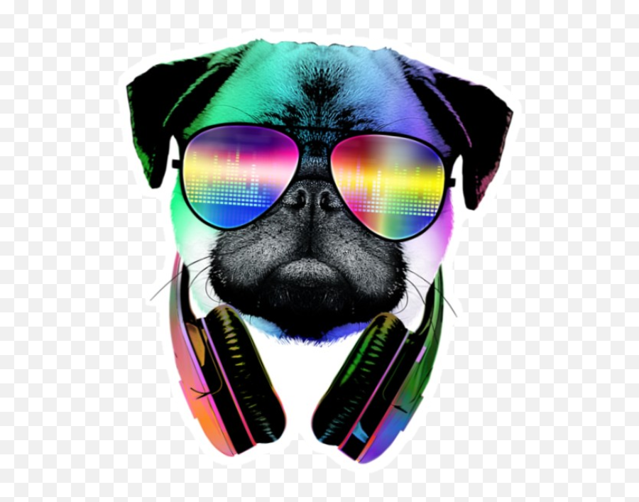 Download Free Png Hd Cool Doggy Dog Chilling - Dj Pug Cool Dog,Pug Transparent Background