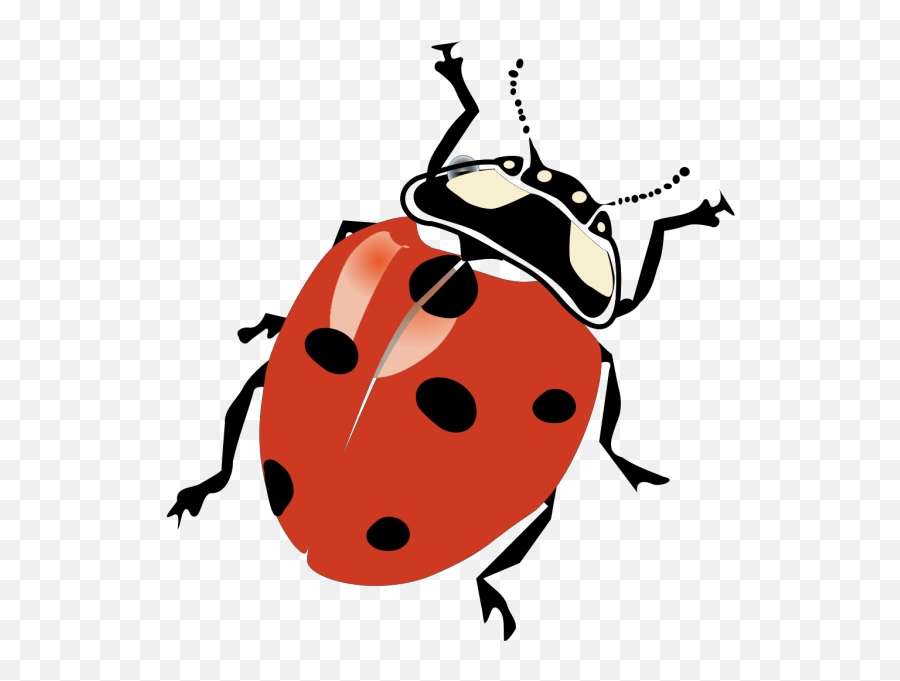 Blue Ladybug Png Svg Clip Art For Web - Download Clip Art Realistic Beetle Clip Art,Ladybug Icon