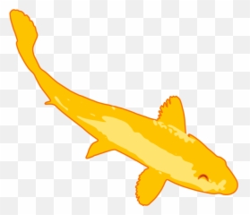 Bower Boston Apartments Near University Gallery - Requiem Sharks png