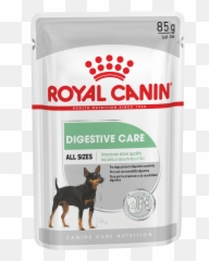 Dog Retail Products - Wet Food Royal Canin Kitten Png,Transparent Puppy