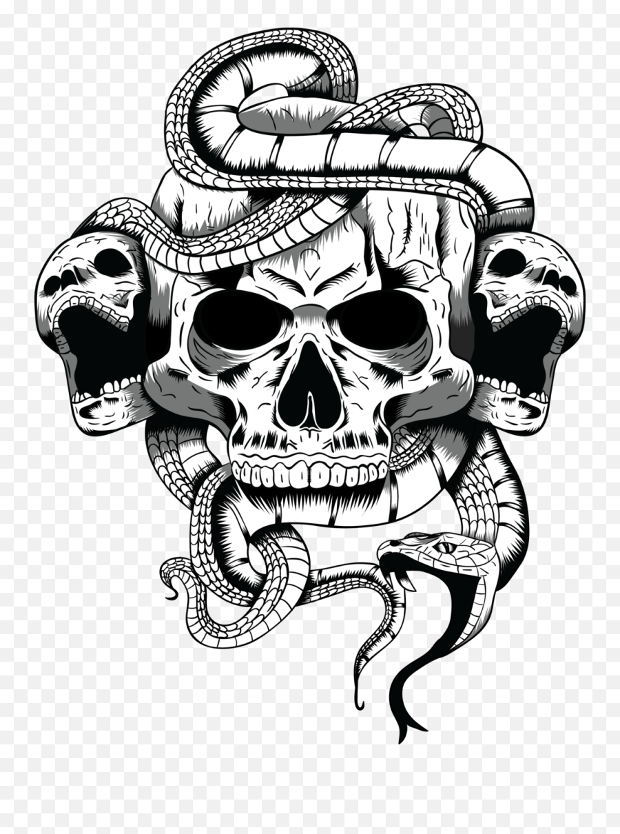 Clipart Snake Skull - Grand Theft Auto V Drawings Png Transparent Skull Art Png,Skull Drawing Png