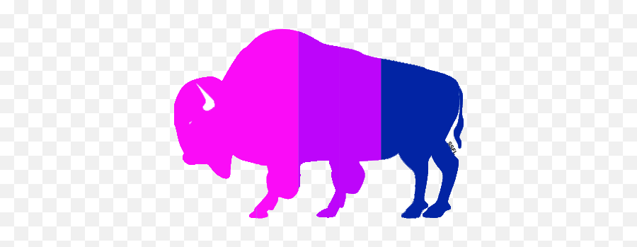 Gay Vincian Buffalo Sticker U2013 Sioux Falls Pride - Rainbow Bison Png,Demisexual Icon