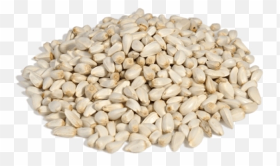 Safflower Seeds - Echinochloa Esculenta Seeds Png,Seed Png
