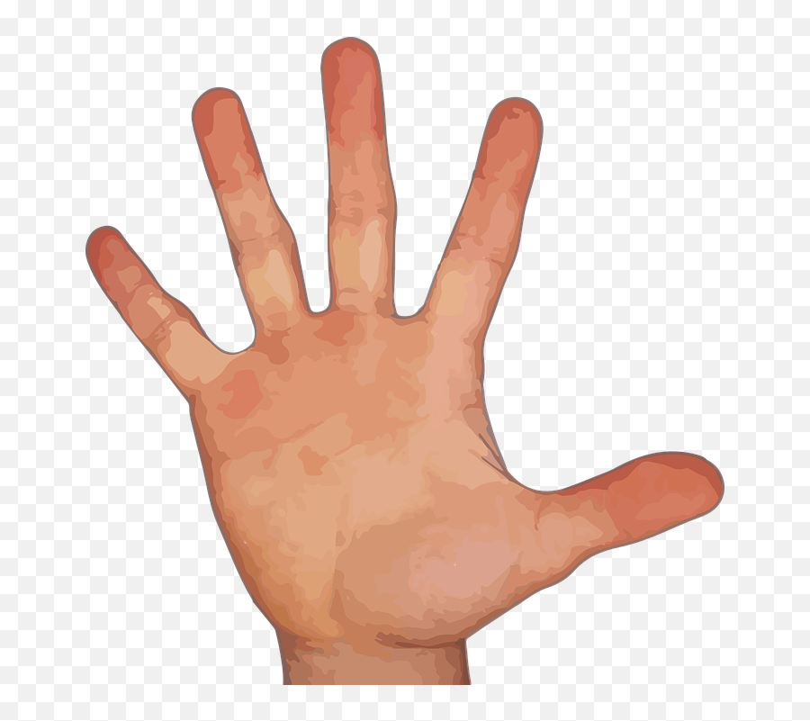 Finger Hand Thumb Index - 5 Finger Png,Finger Png