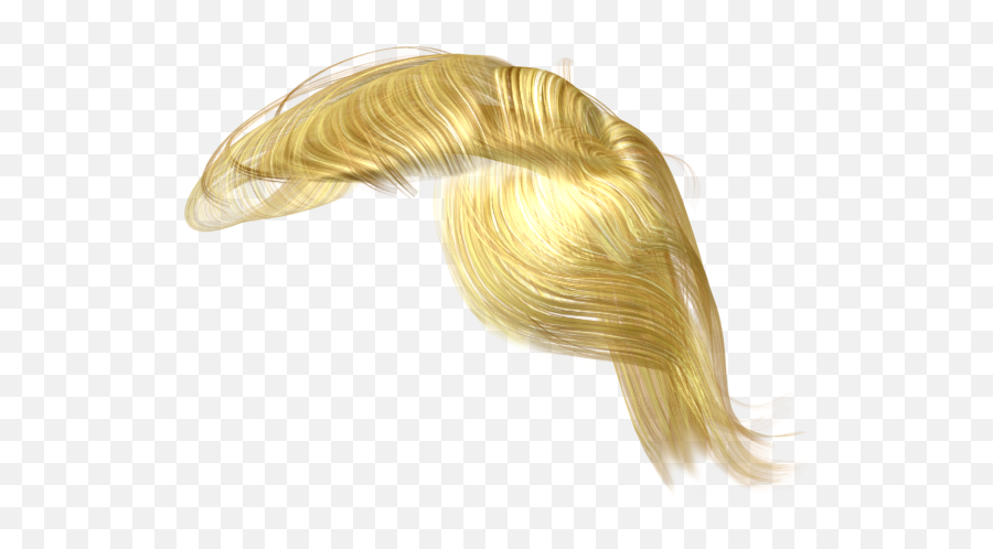 Trump Hair Png 5 Image - Donald Trump Hair Png,Donald Trump Hair Png