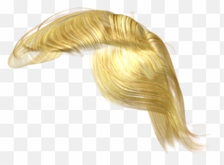 Free Transparent Donald Trump Hair Png Images Page 1 Pngaaa Com - straight blond hair roblox girl blonde hair png image with transparent background toppng