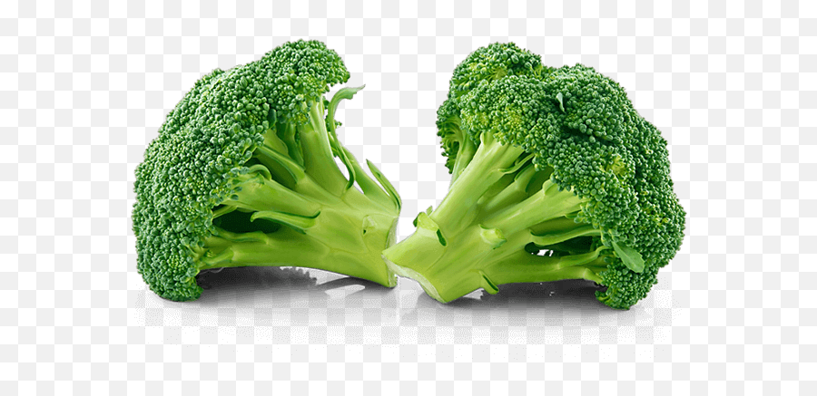 Broccoli Vegetable Cabbage Terapia - Broccoli Florets Png,Broccoli Transparent