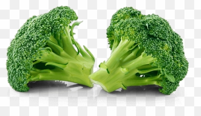 Broccoli Vegetable Cabbage Terapia - Broccoli Florets Png,Broccoli Transparent