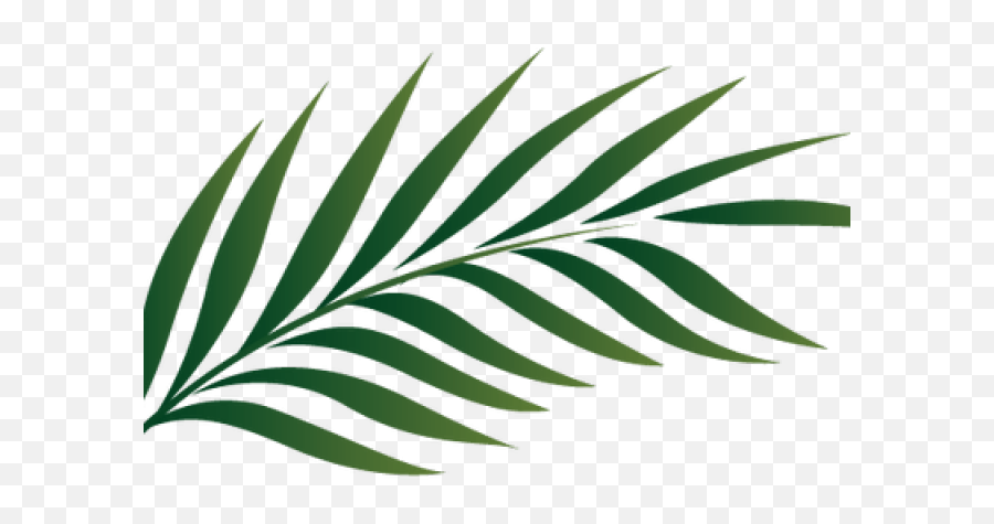Palm Frond - Tropical Leaf Stencil Png,Palm Frond Png