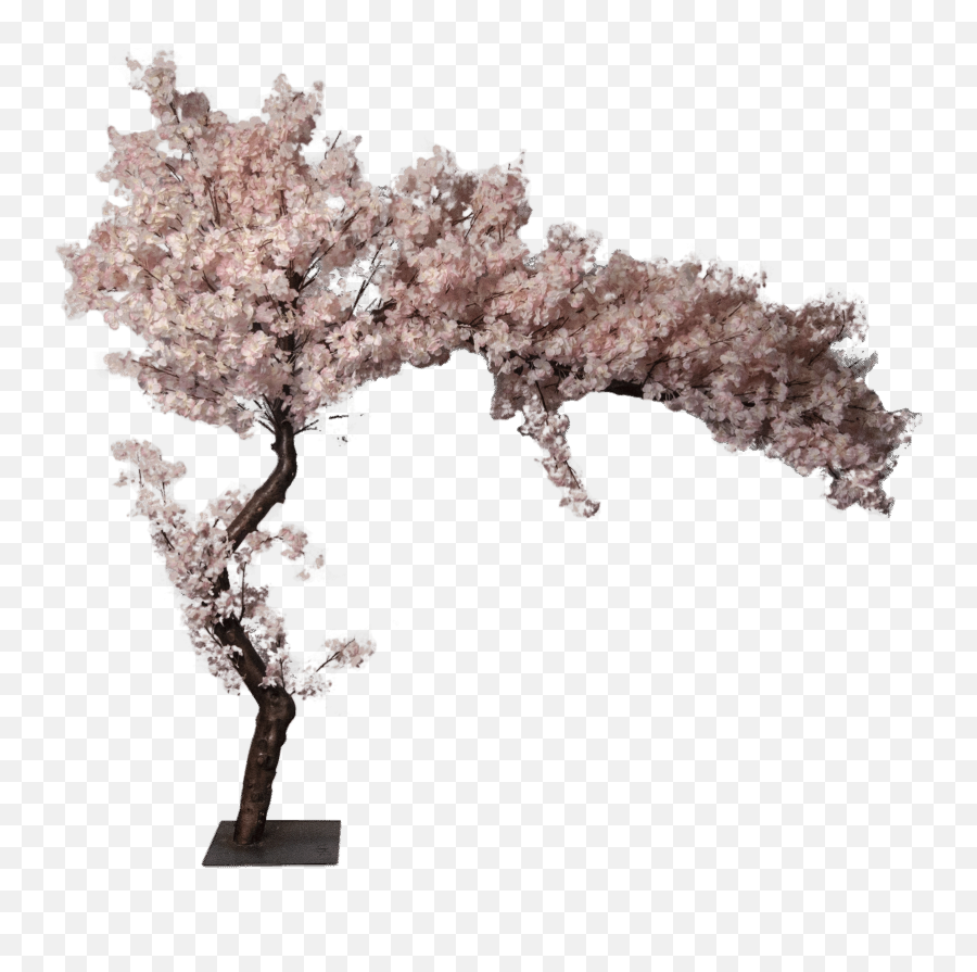 Download Cherry Blossom Artificial Tree 0 - Cherry Blossom Sakura Artificial Tree Png,Blossom Png