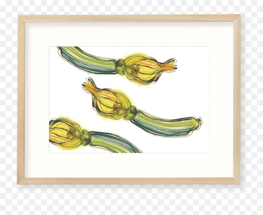 Zucchini - Zucchini Png,Zucchini Png