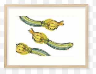 Zucchini - Zucchini Png,Zucchini Png