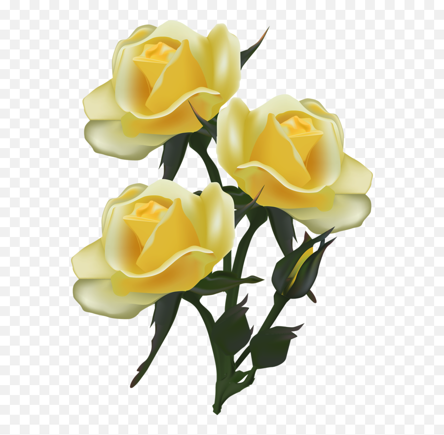 Soloveika - Yellow Rose Drawing Png Transparent Yellow Rose Clipart,Yellow Rose Transparent