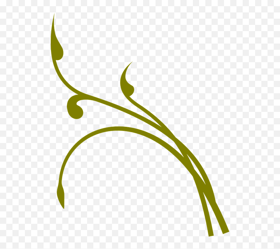 Flourish Vine Floral - Free Vector Graphic On Pixabay Vines Clipart Png,Flower Vine Png