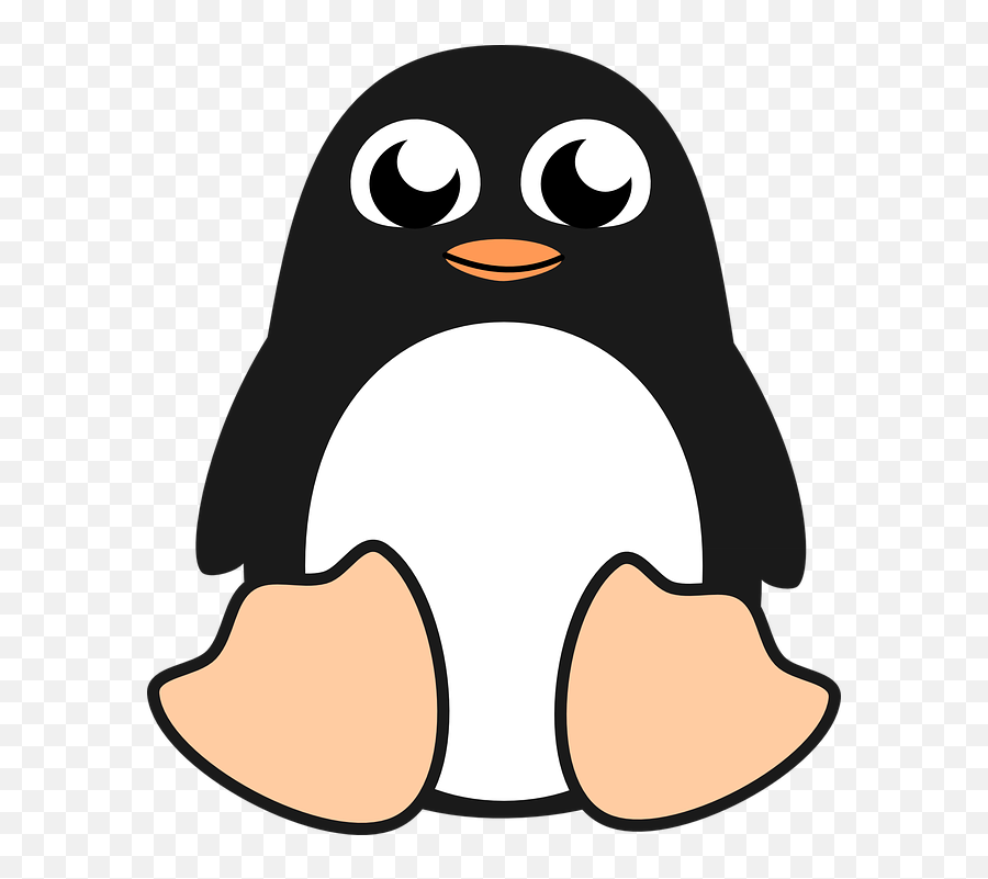 Penguin Bird Linux - Free Vector Graphic 1452318 Png Penguin Art Clip,Linux Png