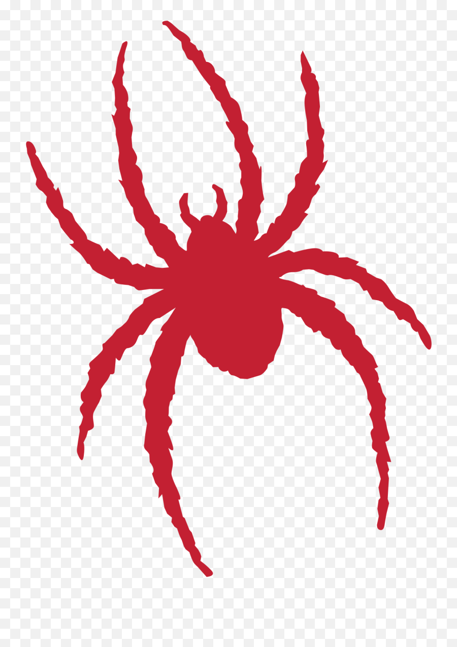 Richmond Spiders - University Of Richmond Spider Png,Spider Logo