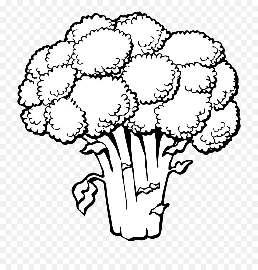 Black And White Graphic Freeuse - Broccoli Clipart Black And White Png,Brocolli Png