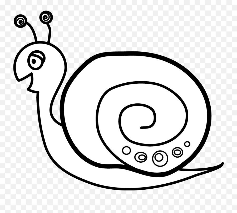 snail black and white clipart