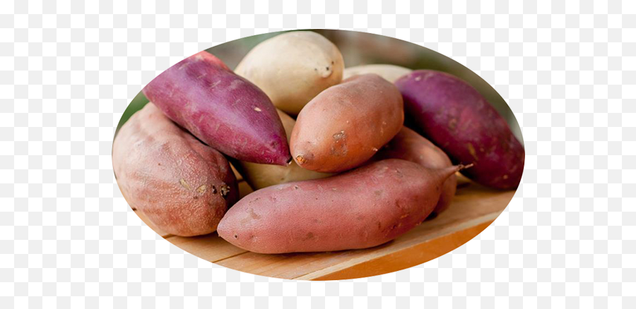 Av Thomas Produce - Sweet Potato Png,Potatoes Png