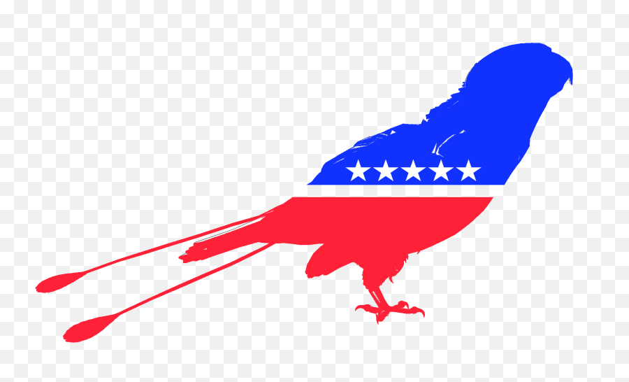 Peoples Party Holy Church Of Joe Biden Wiki Fandom - Green Bird Transparent Background Png,Joe Biden Png