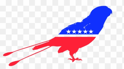 Peoples Party Holy Church Of Joe Biden Wiki Fandom - Green Bird Transparent Background Png,Joe Biden Png